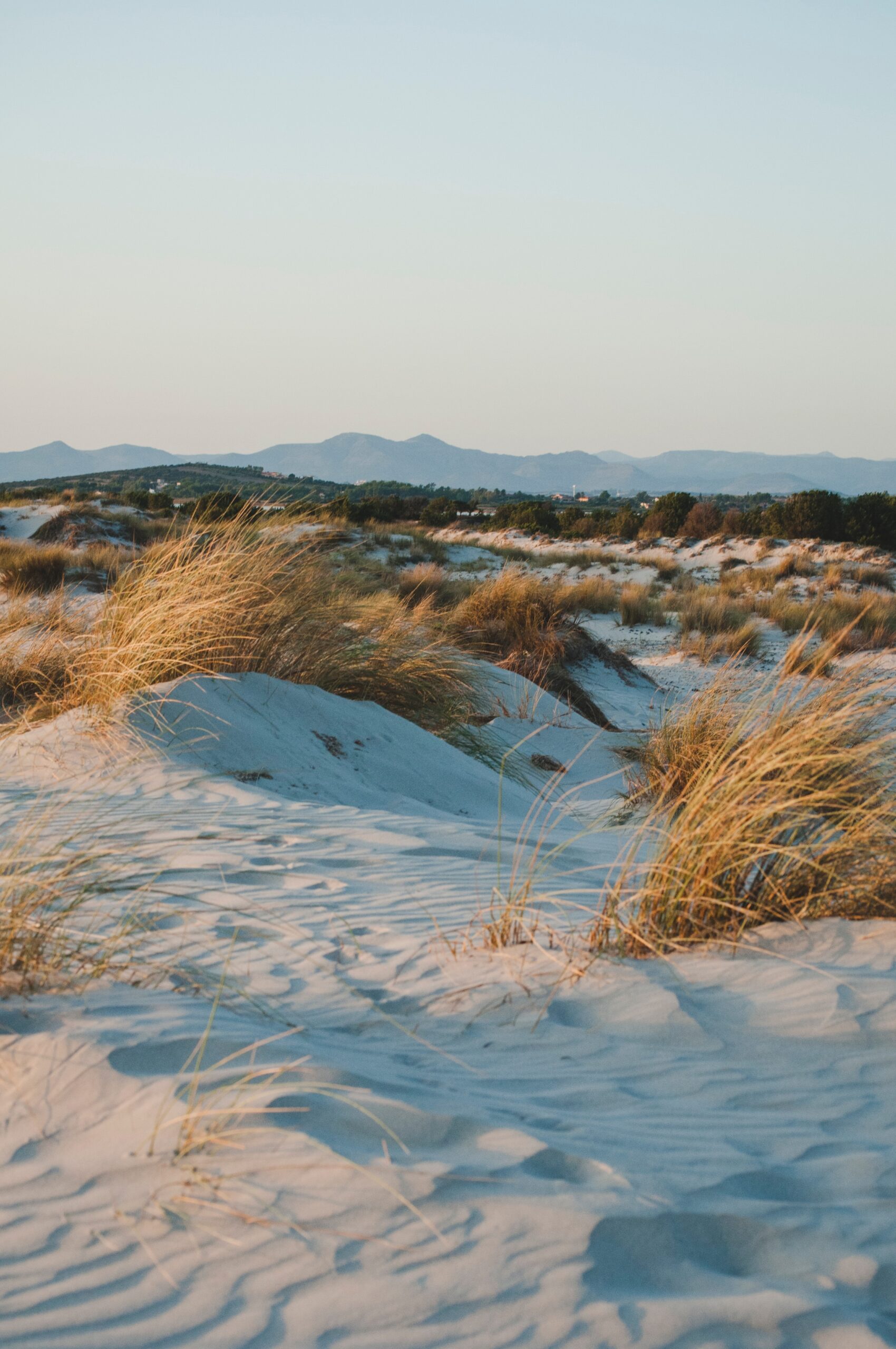 Sardegna-Anticorrosione